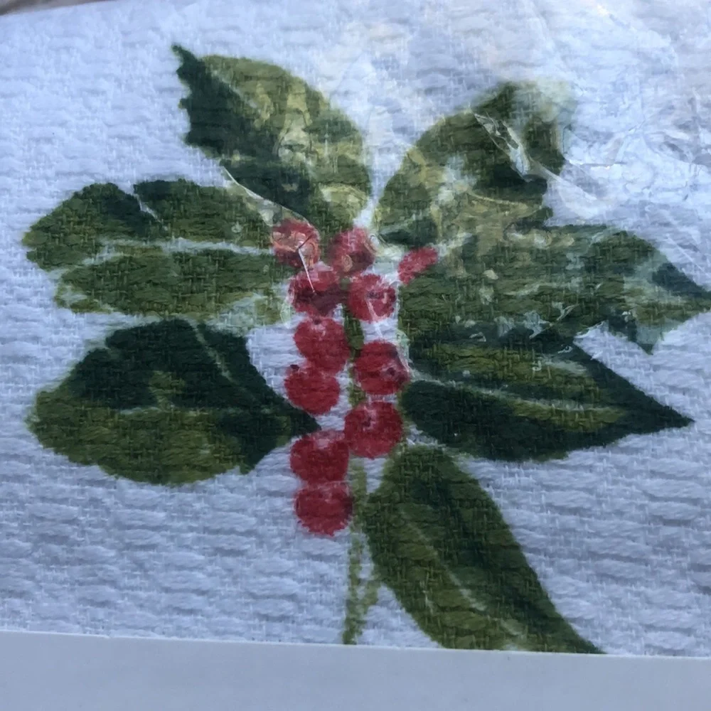 Martha Stewart Anti-microbial Kitchen Holiday Mistletoe Holly Towels